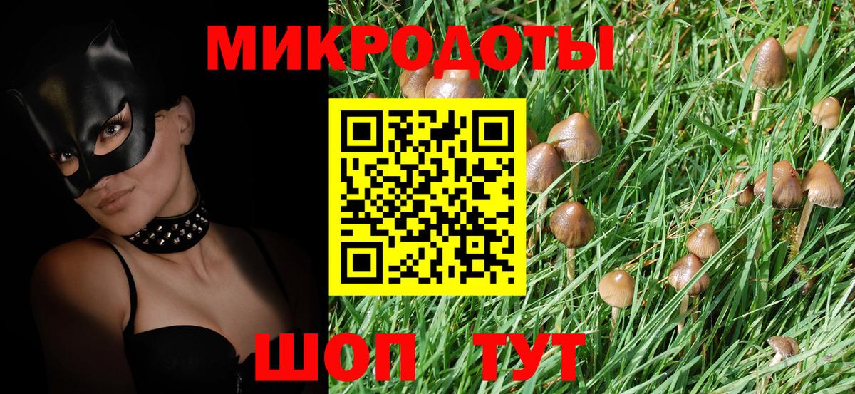 Галлюциногенные грибы Cubensis  Вход с VPN  Бахчисарай  Галлюциногенные грибы Cubensis 